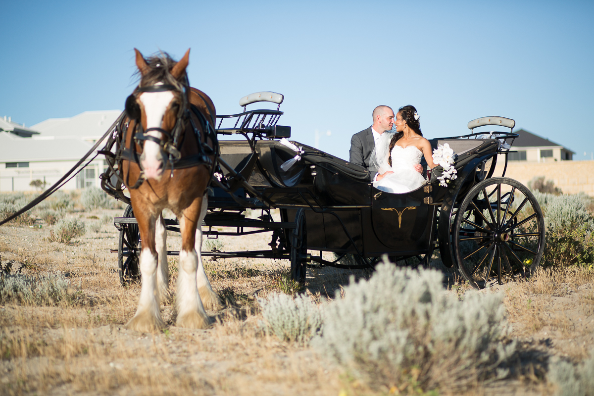 burns beach wedding perth with horse carriage