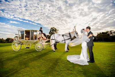 the vines horse carriage wedding photographer perth