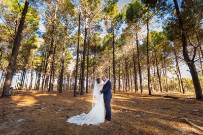 wanneroo pine forest old fig tree caversham the vines wedding photographer