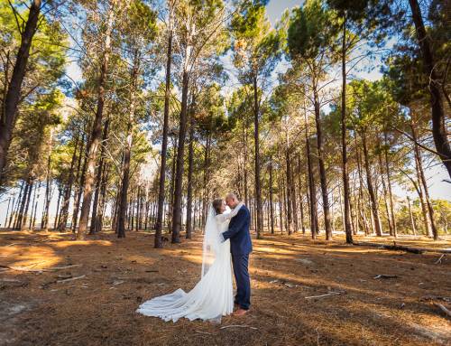 Ally and Mat’s Wedding at The Vines and Wanneroo Pine Forest